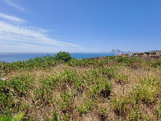 ALCAIDESA 9