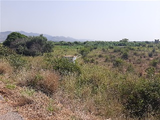 Otros en venta en Castellón De La Plana/castelló De La Plana