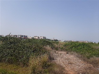 PARTIDA COSCOLLOSA, N.S/N, P.SP 3