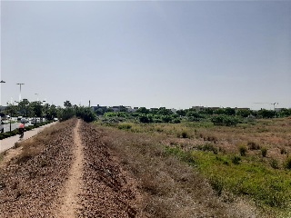PARTIDA COSCOLLOSA, N.S/N, P.SP 5