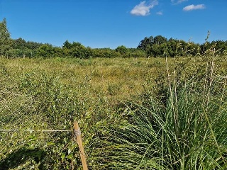 Villanueva 3
