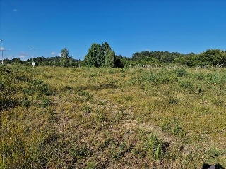 Villanueva 6