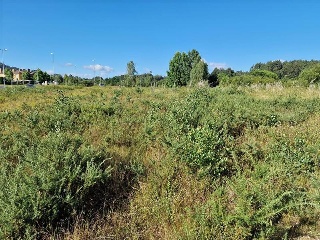 Villanueva 8