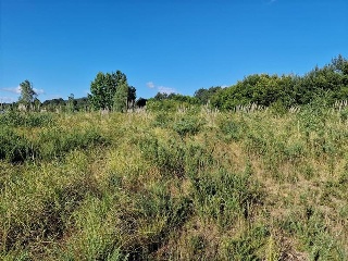 Villanueva 9