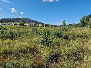 Villanueva 10