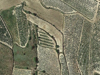 Suelo rústico en C/ Polígono 42 Parcela 13, San Asensio (La Rioja) 3