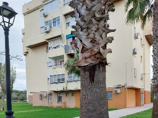 Miraflores 3