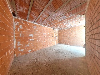 Nueva 28