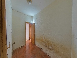 Sant Ferran, De 15