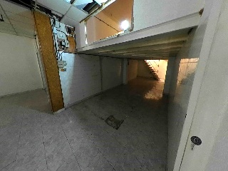 Gatassa 4