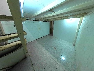 Gatassa 11