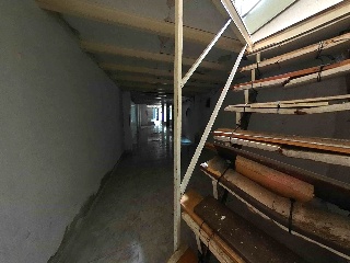 Gatassa 13