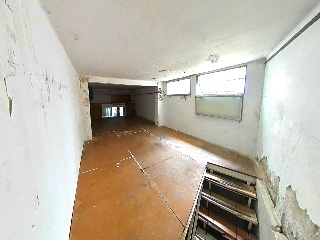 Gatassa 14
