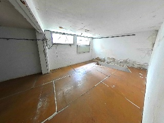 Gatassa 19