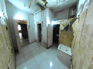 Gatassa 23