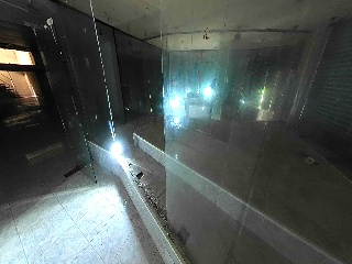 Gatassa 29