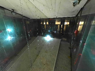 Gatassa 31