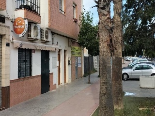 Blas Infante 28