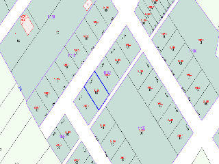 Esfarrapa . Apu-R7. Parcela 10