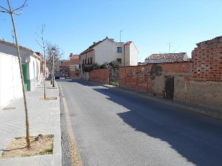 CONSTITUCIÓN 5