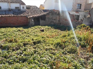 CONSTITUCIÓN 12