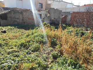 CONSTITUCIÓN 13