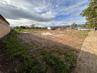 Otros en venta en Binissalem