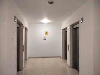 TECNOLOGIA 12