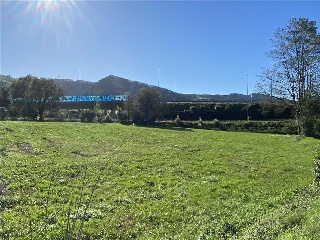 SIERRA ESPINA, PRADO DE LA TABERNA 2