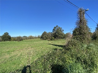 SIERRA ESPINA, PRADO DE LA TABERNA 4