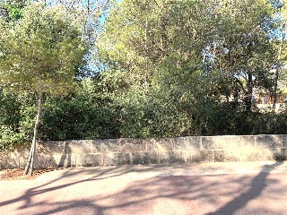 Deia Cm 2