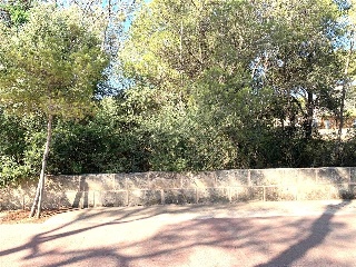 Deia Cm 3