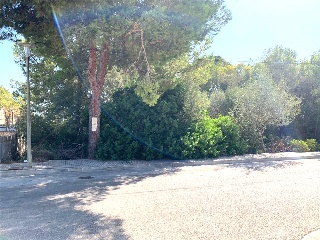 Deia Cm 6