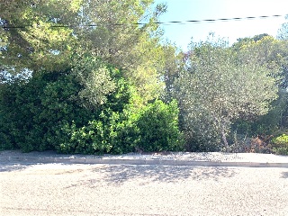 Deia Cm 7