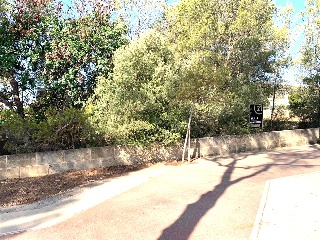 Deia Cm 8