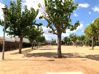 Deia Cm 9