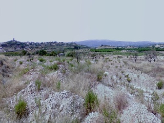 Suelos urbanizables y no urbanizables en Pol 3, Montroy (Valencia)  6