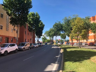 Piso situado en Dos Hermanas 11