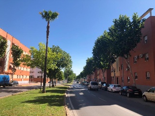 Piso situado en Dos Hermanas 12