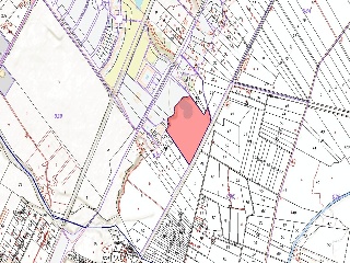 Suelo rústico en Paraje Lo Roquer 2