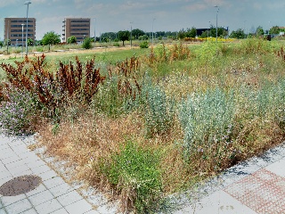 Suelo Urbano en C/ Arquitecto Javier Sanz 27