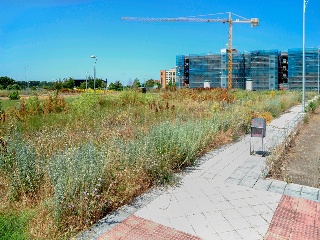 Suelo Urbano en C/ Arquitecto Javier Sanz 28