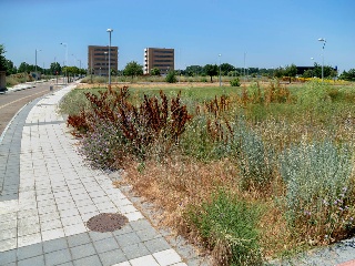 Suelo Urbano en C/ Arquitecto Javier Sanz 29