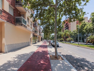 Suelo en Reus 30