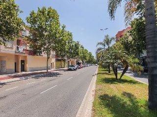 Suelo en Reus 33
