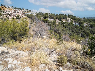 Solares en Urb Sierra de Altea II 59