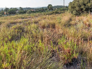 Suelos en Alcóver - Tarragona - 34
