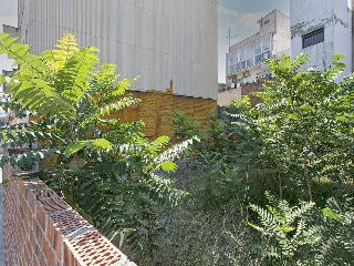 09603-0001 13
