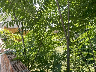 09603-0001 21