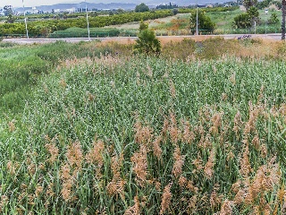 Suelo urbano en C/ Benidorm - Moncofa - Castellón 20
